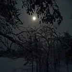 Revontulen Tupa