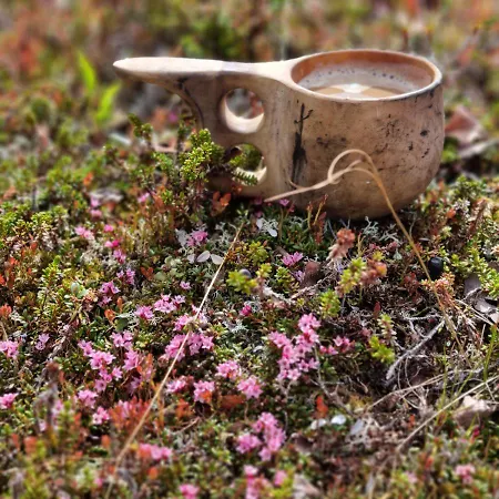 Revontulen Tupa Kaamanen