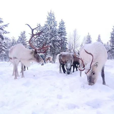 Tatil Evi Revontulen Tupa