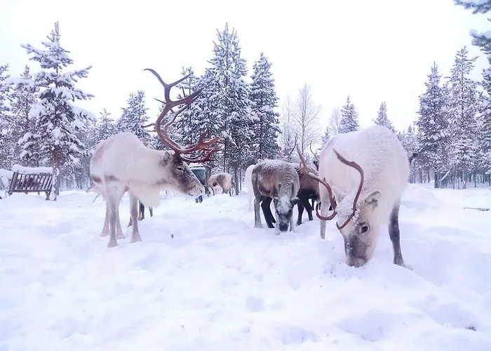 Σπίτι διακοπών Revontulen Tupa